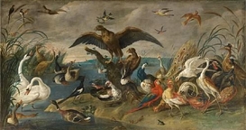 Jan van Kessel I (Flemish, 1626 - 1679)