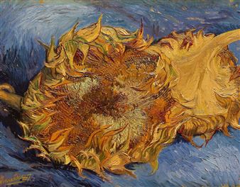 New Exhibition Decodes Van Gogh’s Sunflowers